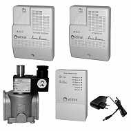 Комплект на метан и угарный газ RGD-CH4+CO-R-DN15